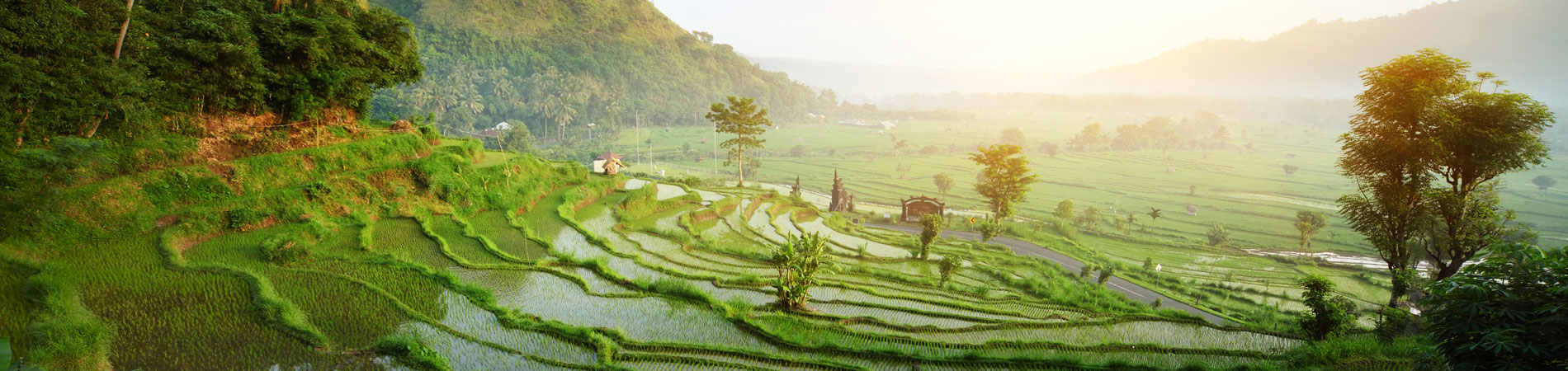 Yoga Teacher Training in Bali